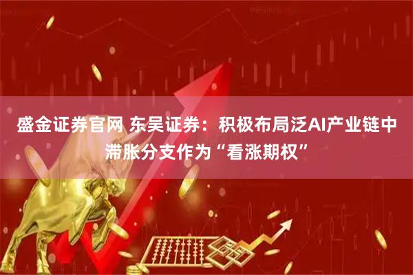 盛金证券官网 东吴证券:积极布局泛AI产业链中滞胀分支作为“看涨期权”