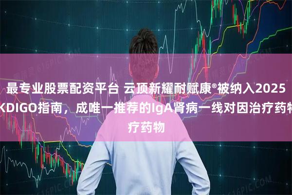 最专业股票配资平台 云顶新耀耐赋康®被纳入2025 KDIGO指南,成唯一推荐的IgA肾病一线对因治疗药物
