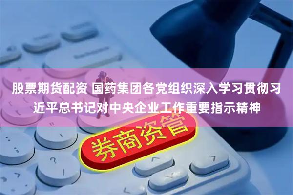 股票期货配资 国药集团各党组织深入学习贯彻习近平总书记对中央企业工作重要指示精神