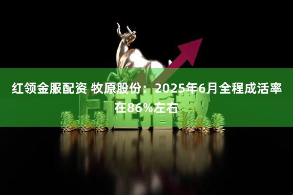 红领金服配资 牧原股份：2025年6月全程成活率在86%左右