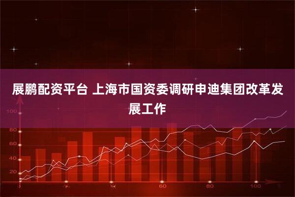 展鹏配资平台 上海市国资委调研申迪集团改革发展工作