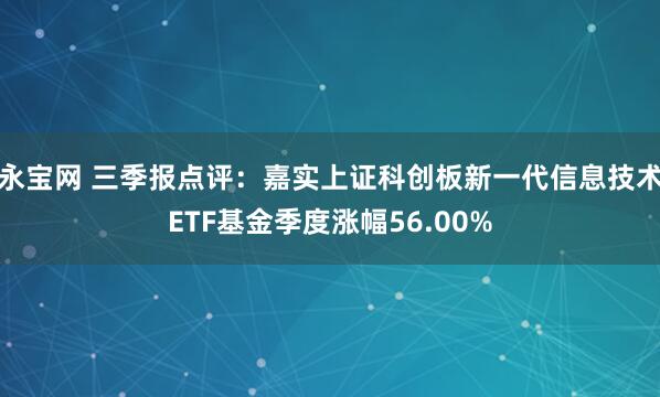 永宝网 三季报点评：嘉实上证科创板新一代信息技术ETF基金季度涨幅56.00%